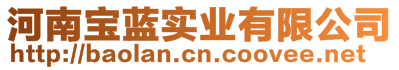 河南寶藍(lán)實業(yè)有限公司