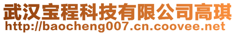 武漢寶程科技有限公司高琪