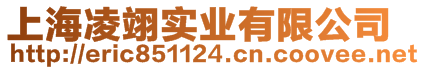 上海凌翊實業有限公司