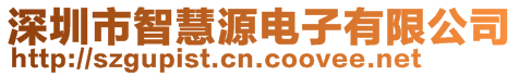 深圳市智慧源電子有限公司