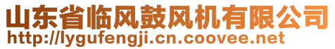 山東省臨風(fēng)鼓風(fēng)機有限公司