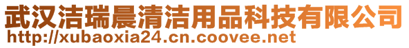 武汉洁瑞晨清洁用品科技有限公司