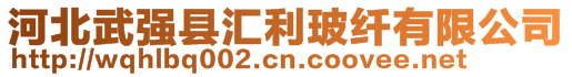 河北武強(qiáng)縣匯利玻纖有限公司