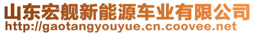 山東宏艦新能源車業(yè)有限公司