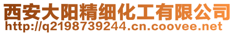 西安大陽精細化工有限公司