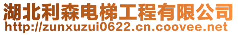 湖北利森電梯工程有限公司