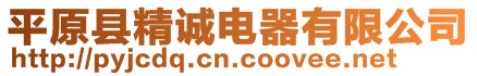 平原縣精誠電器有限公司