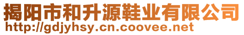 揭陽市和升源鞋業(yè)有限公司