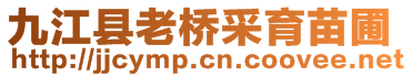 九江縣老橋采育苗圃