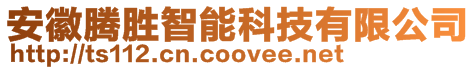 安徽騰勝智能科技有限公司