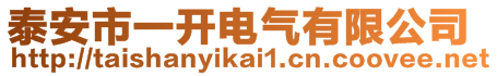 泰安市一開電氣有限公司