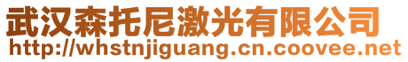 武漢森托尼激光有限公司