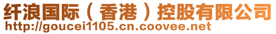 纖浪國(guó)際（香港）控股有限公司