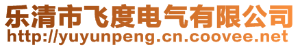 樂清市飛度電氣有限公司
