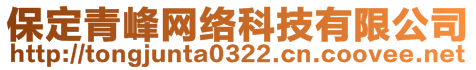 保定青峰网络科技有限公司