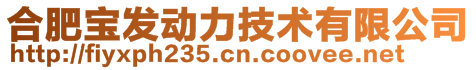 合肥宝发动力技术有限公司