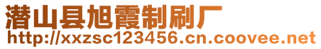 潛山縣旭霞制刷廠