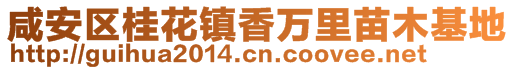 咸安区桂花镇香万里苗木基地