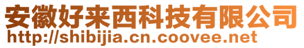 安徽好來(lái)西科技有限公司