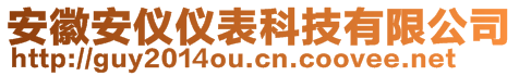 安徽安仪仪表科技有限公司