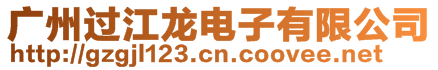 廣州過江龍電子有限公司