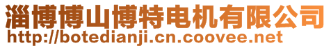 淄博博山博特電機有限公司