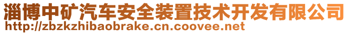 淄博中矿汽车安全装置技术开发有限公司