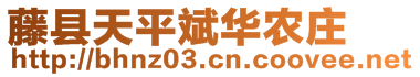 藤縣盛林農(nóng)業(yè)有限公司