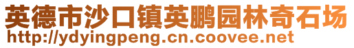 英德市沙口鎮(zhèn)英鵬園林奇石場(chǎng)