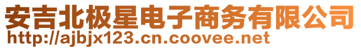 安吉北極星電子商務有限公司