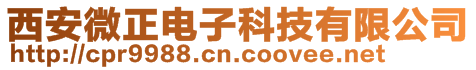 西安微正電子科技有限公司