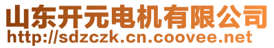 山東開元電機(jī)有限公司