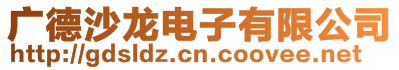 廣德沙龍電子有限公司