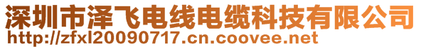 深圳市澤飛電線電纜科技有限公司