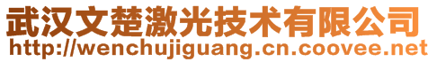 武漢文楚激光技術(shù)有限公司