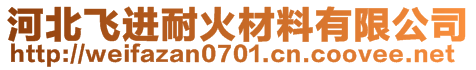 河北飞进耐火材料有限公司