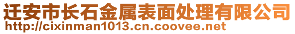 遷安市長石金屬表面處理有限公司