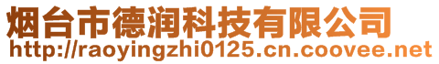 烟台市德润科技有限公司