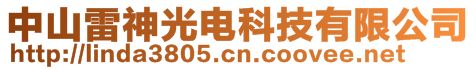 中山雷神光電科技有限公司