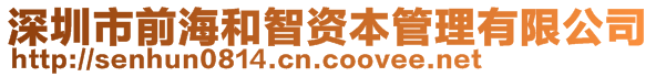 深圳市前海和智資本管理有限公司