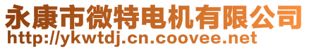 永康市微特電機(jī)有限公司