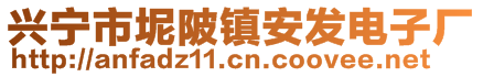 興寧市坭陂鎮(zhèn)安發(fā)電子廠(chǎng)