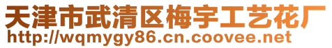 天津市武清區(qū)梅宇工藝花廠