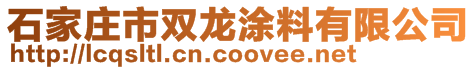 石家莊市雙龍涂料有限公司