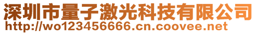 深圳市量子激光科技有限公司