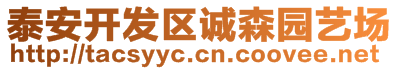 泰安開發(fā)區(qū)誠森園藝場