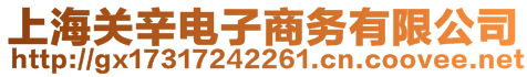 上海關(guān)辛電子商務(wù)有限公司