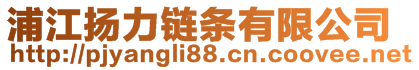 浦江揚(yáng)力鏈條有限公司