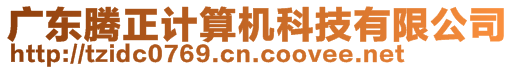 廣東騰正計算機(jī)科技有限公司