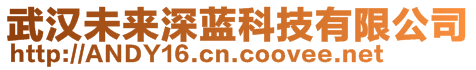 武汉未来深蓝科技有限公司